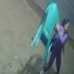 Após chutar gato, homem leva cadeirada de mulher