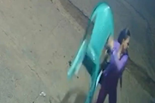 Após chutar gato, homem leva cadeirada de mulher