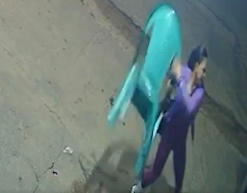 Após chutar gato, homem leva cadeirada de mulher