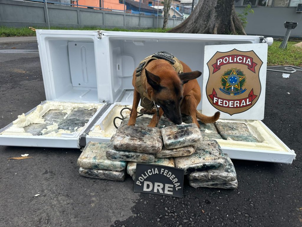 PF encontra 30 kg de drogas escondidas em geladeira durante ação em Manaus