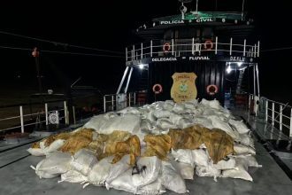 Polícia apreende cerca de 12 toneladas de pirarucu seco