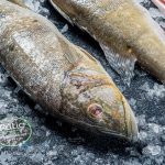 Busca por alimentação saudável amplia oferta de alimentos frescos