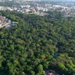 Reserva Adolpho Ducke