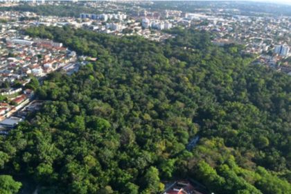 Reserva Adolpho Ducke