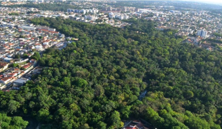 Reserva Adolpho Ducke