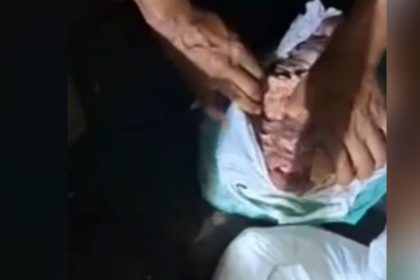 Droga escondida dentro de carne é apreendida em embarcação no Amazonas