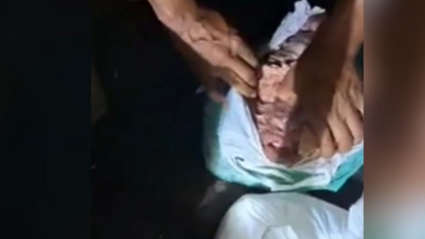 Droga escondida dentro de carne é apreendida em embarcação no Amazonas