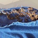 Irmãos são presos com drogas escondidas na costura de bermudas em delegacia do AM