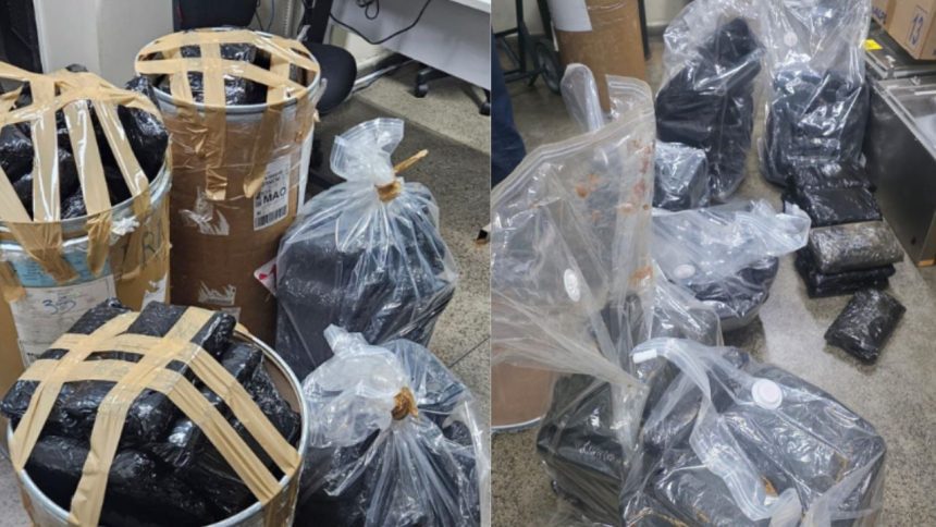 Droga avaliada em R$ 3 milhões é apreendida em Manaus; quatro foram presos