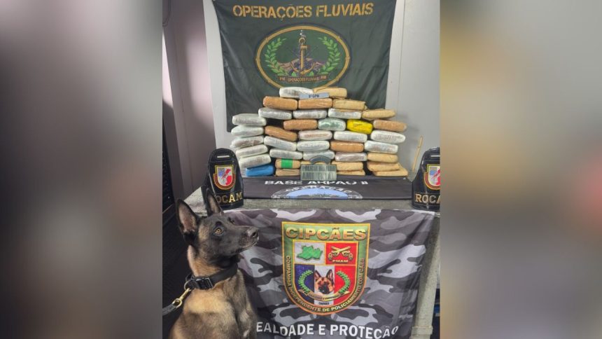 Quase R$ 1 milhão em drogas é apreendido em embarcação no interior do Amazonas
