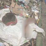 Perna humana é encontrada por garis em balsa no Centro de Manaus