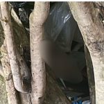 Segunda perna humana é encontrada próximo a igarapé em Manaus