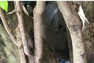 Segunda perna humana é encontrada próximo a igarapé em Manaus