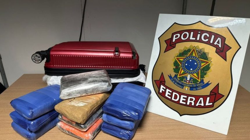 PF apreende 11 kg de maconha no Aeroporto Internacional de Manaus
