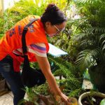 Confira os 10 bairros onde animais peçonhentos mais aparecem em Manaus