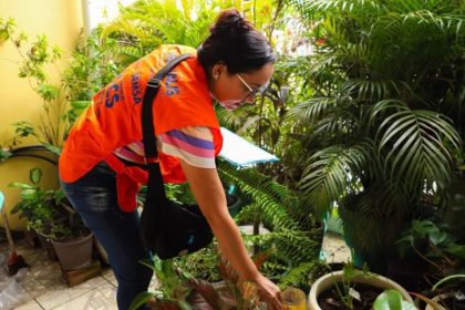 Confira os 10 bairros onde animais peçonhentos mais aparecem em Manaus