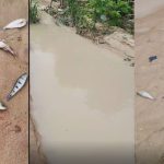 Dois anos após denúncia, moradores voltam a relatar poluição e morte de peixes por fábrica no Distrito Industrial