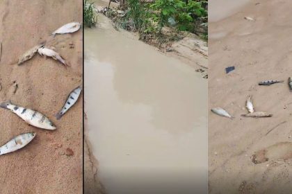 Dois anos após denúncia, moradores voltam a relatar poluição e morte de peixes por fábrica no Distrito Industrial