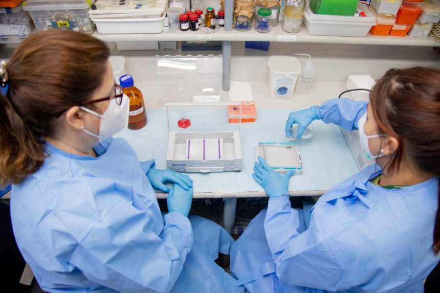 Fapeam libera R$ 4 milhões a pesquisas feitas por mulheres no AM