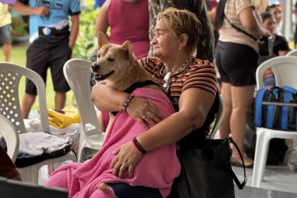 Tutores da Betânia recebem o Castramóvel para castração gratuita