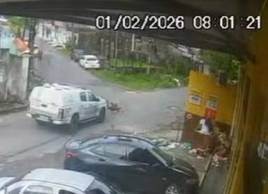 PM afasta policiais flagrados atropelando cachorros em Manaus