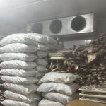 Fiscalização identifica irregularidades em frigorífico de pescados