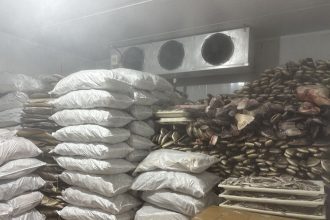 Fiscalização identifica irregularidades em frigorífico de pescados