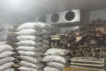 Fiscalização identifica irregularidades em frigorífico de pescados