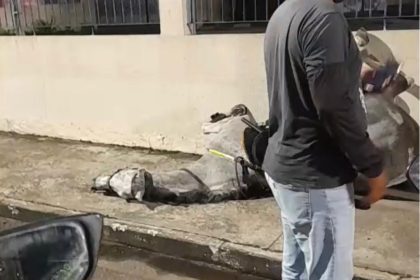 Policial e cavalo ficam feridos após animal se assustar com fogos