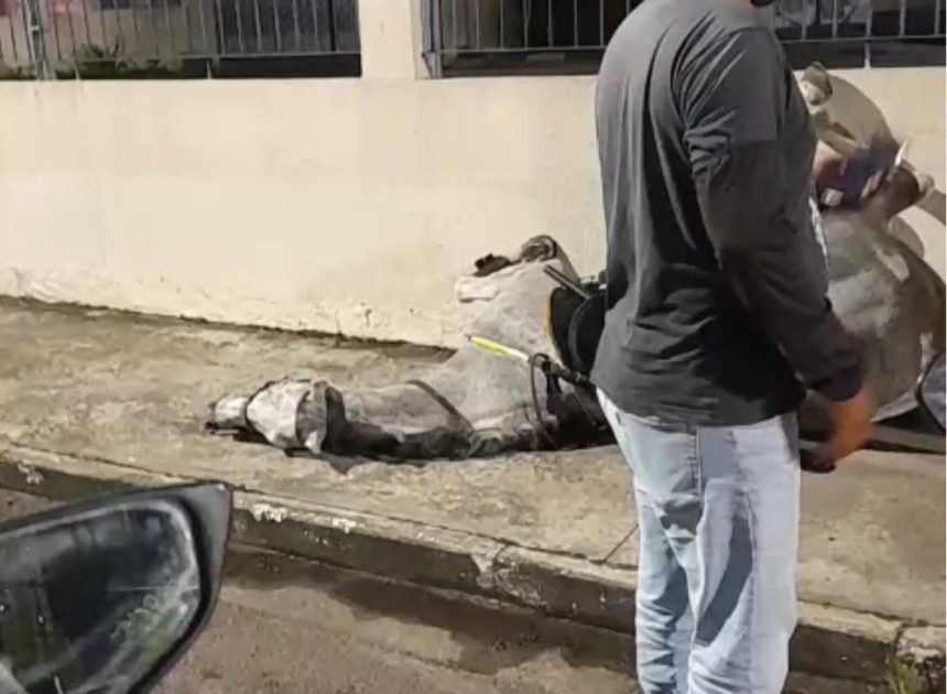 Policial e cavalo ficam feridos após animal se assustar com fogos