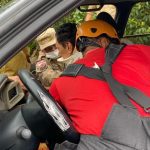 Motorista tenta desviar de animal e colide contra poste na AM-010