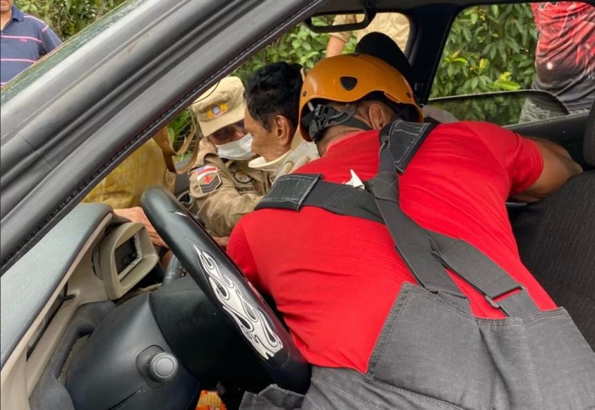 Motorista tenta desviar de animal e colide contra poste na AM-010