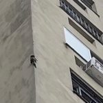 Sagui escala prédio e mobiliza moradores devido risco de queda