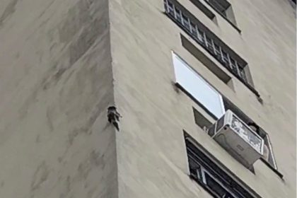 Sagui escala prédio e mobiliza moradores devido risco de queda