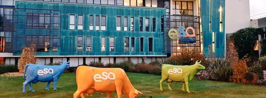 Edital de intercâmbio na França para estudantes da UFAM