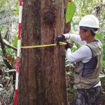 IFAM oferta 60 vagas nos cursos de Agropecuária e Florestas