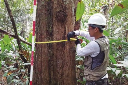 IFAM oferta 60 vagas nos cursos de Agropecuária e Florestas