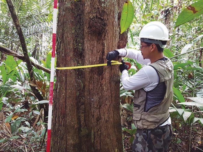 IFAM oferta 60 vagas nos cursos de Agropecuária e Florestas
