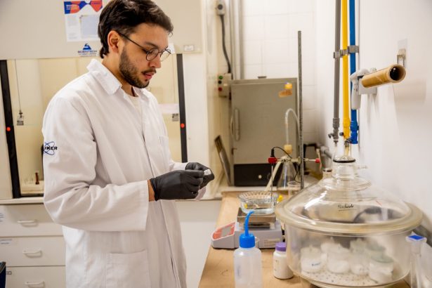 Pesquisa investiga uso da babosa para curativos mais flexíveis