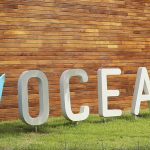 Samsung Ocean abre inscrições para novos cursos gratuitos