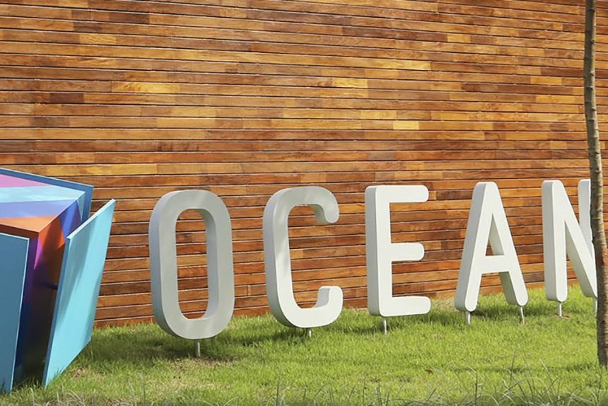 Samsung Ocean abre inscrições para novos cursos gratuitos