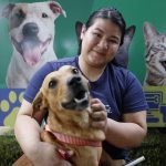 Mulher sorrindo segura um cachorro de pêlo marrom com uma coleira vermelha, com rostos de animais ao fundo.