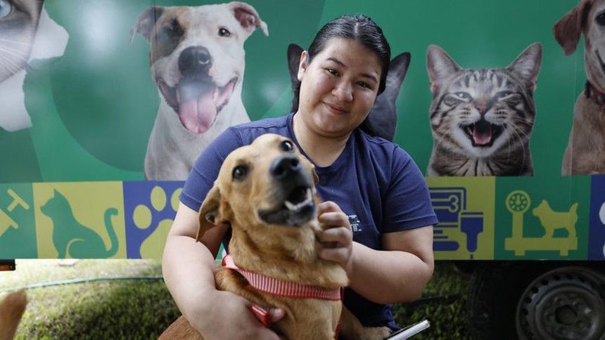 Mulher sorrindo segura um cachorro de pêlo marrom com uma coleira vermelha, com rostos de animais ao fundo.