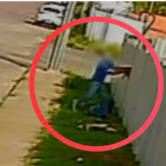 Homem é preso em Brasília após maltratar gato em Manaus