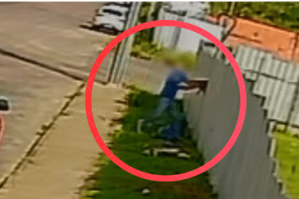 Homem é preso em Brasília após maltratar gato em Manaus