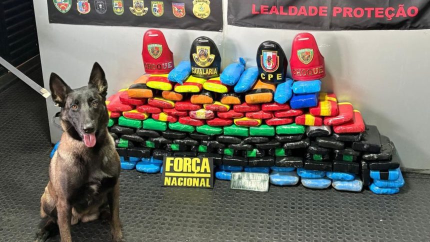 Drogas avaliadas em R$ 3 milhões são apreendidas em embarcação no Rio Solimões