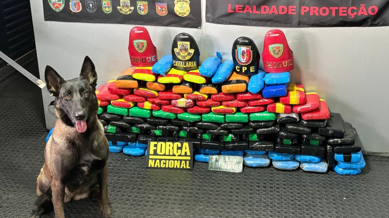 Drogas avaliadas em R$ 3 milhões são apreendidas em embarcação no Rio Solimões