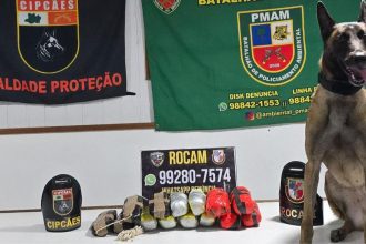 Cão policial encontra nove quilos de entorpecentes escondidos em embarcação no AM