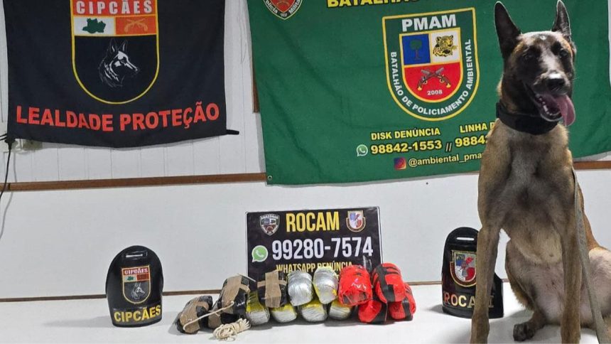 Cão policial encontra nove quilos de entorpecentes escondidos em embarcação no AM