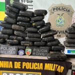 Maconha enterrada avaliada em R$ 1,1 milhão é encontrada em Atalaia do Norte
